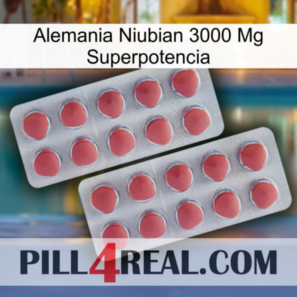 Germany Niubian 3000 Mg Superpower 19.jpg